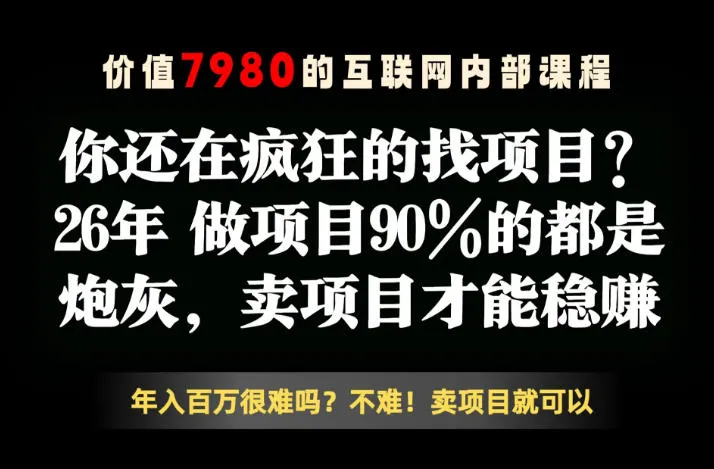 26年请不要疯狂的找项目了，卖项目远比你想象的暴利，你也可以月入10W+【揭秘】-小洋博客-新起点