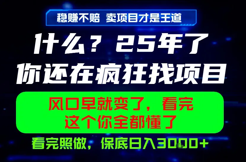 26年，请不要疯狂的找项目做了！卖项目才是真的稳賺不赔，看完照做，保底日入1k+【揭秘】-小洋博客-新起点