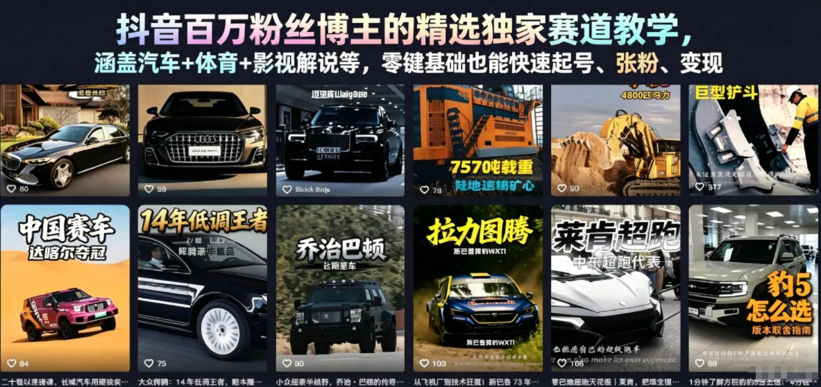 抖音百万粉丝博主的精选独家赛道教学，涵盖汽车+体育+影视解说等，零基础也能快速起号、涨粉、变现-小洋博客-新起点